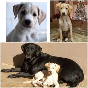 Meet your Posher, Jen